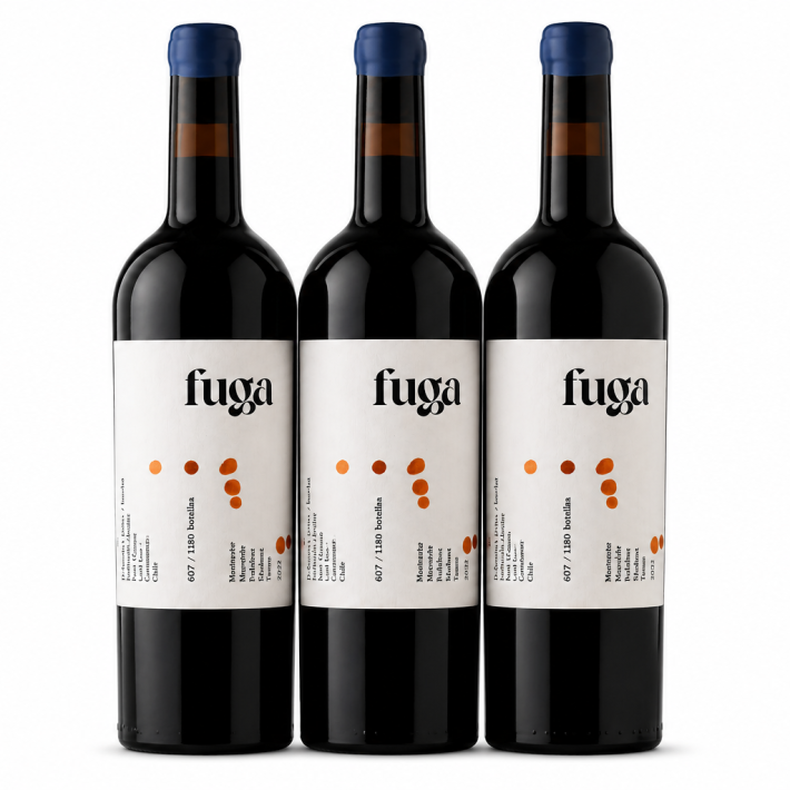 3 Fuga Cabernet Franc- Merlot 750 cc