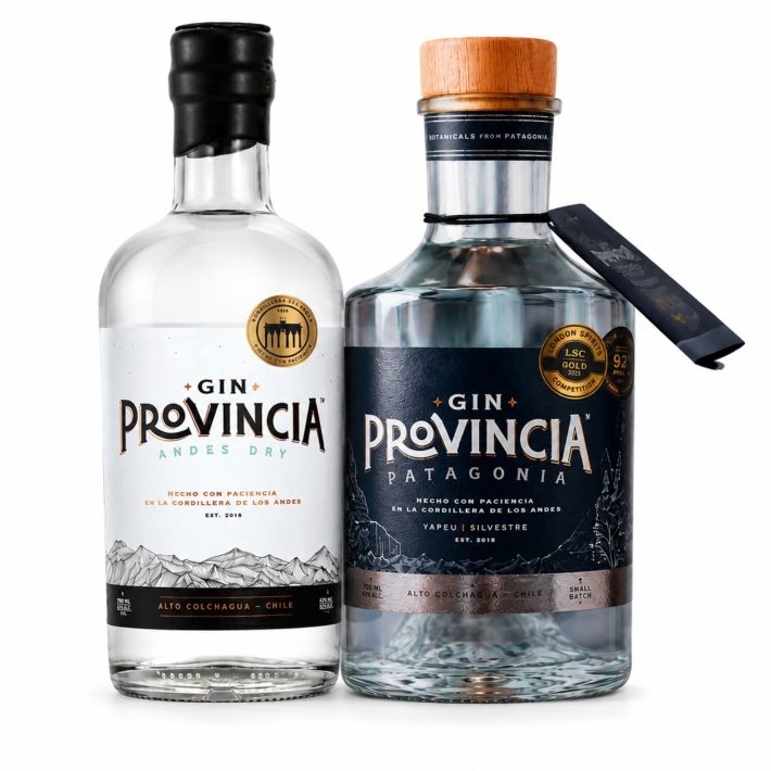 Duo Gin Provincia Andes Dry 700 cc y Patagonia  700 CC